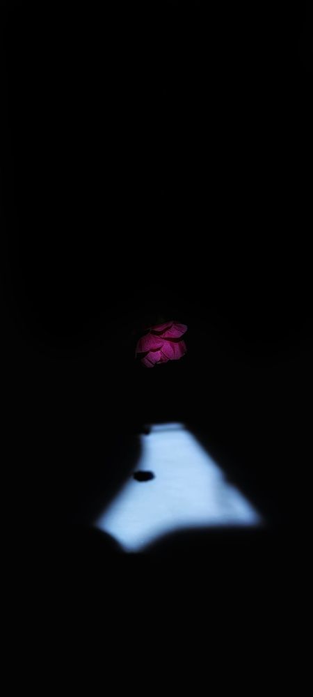 Photograph by Ангелина Ядкова