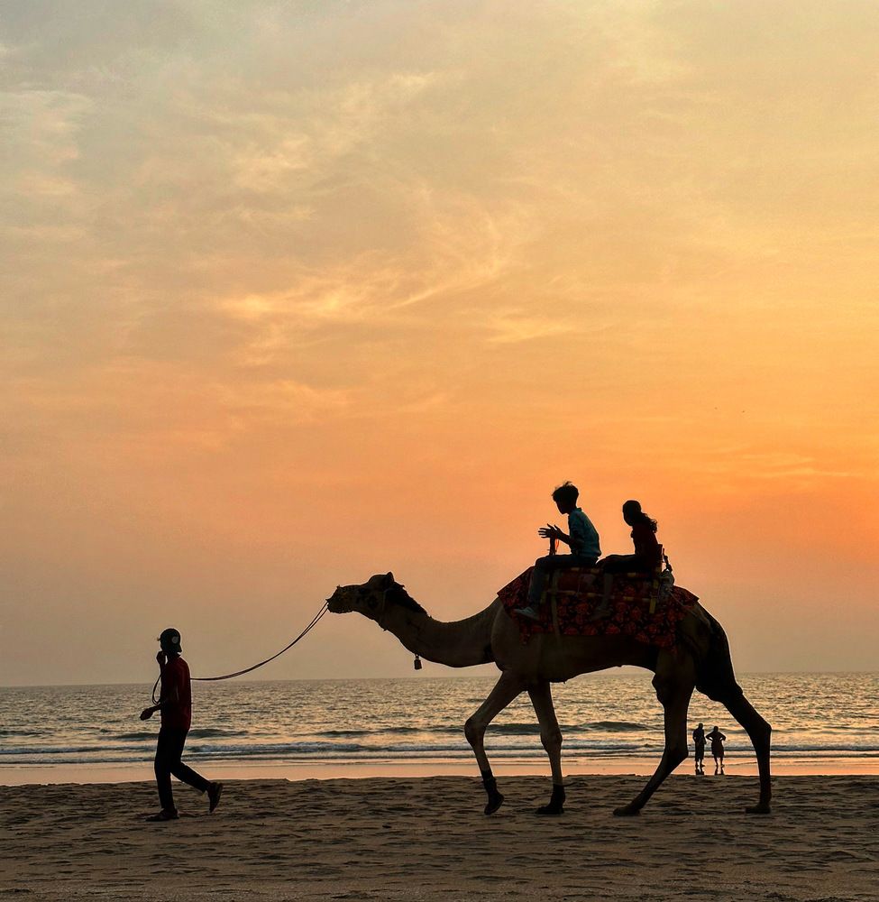 Photograph by Afsal Ansary