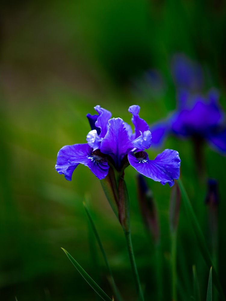 Photo #13202409
