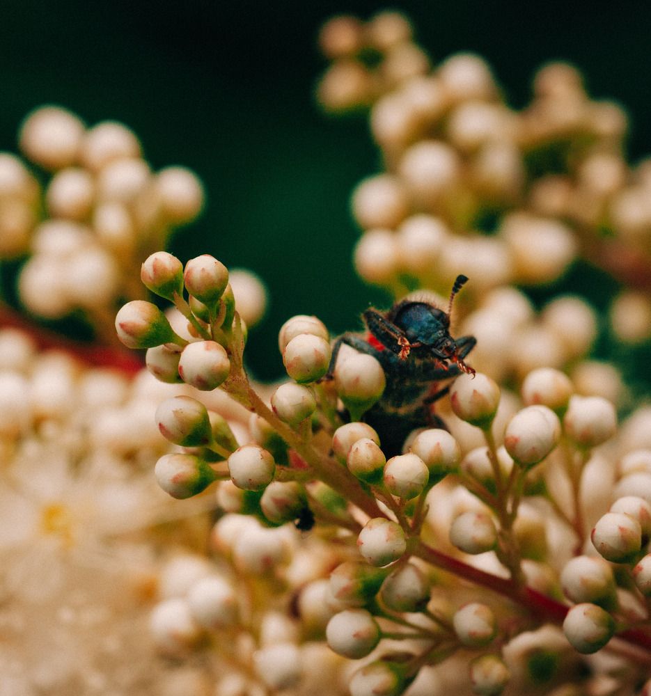 Photograph by Николай Захаров