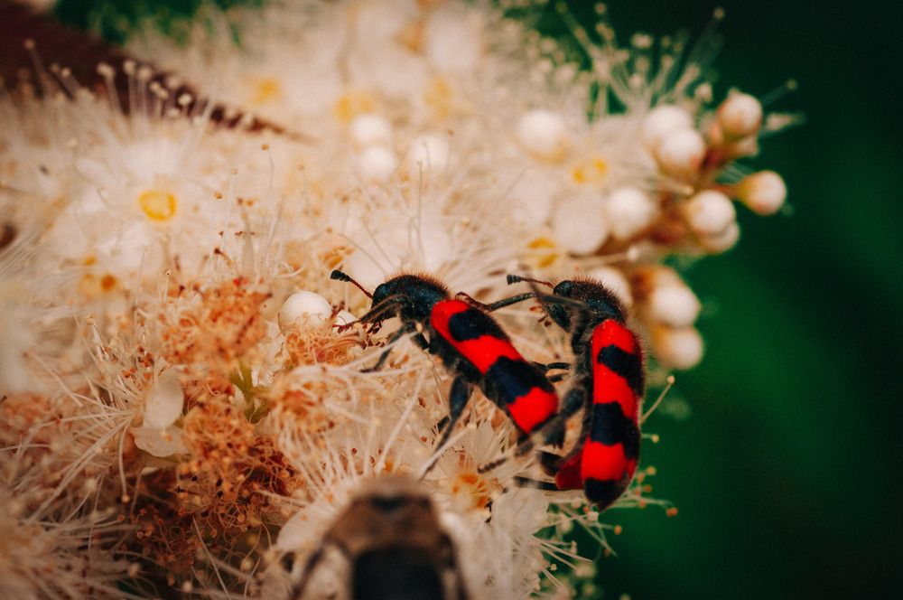 Photograph by Николай Захаров