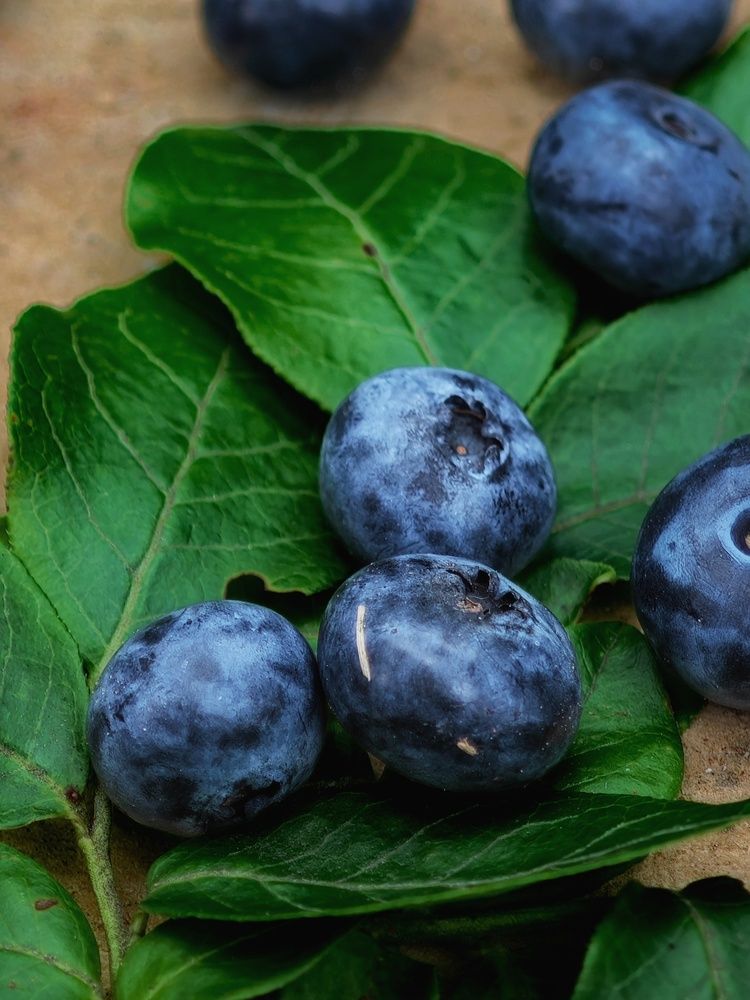 Фотография автора Татьяна Соколовская