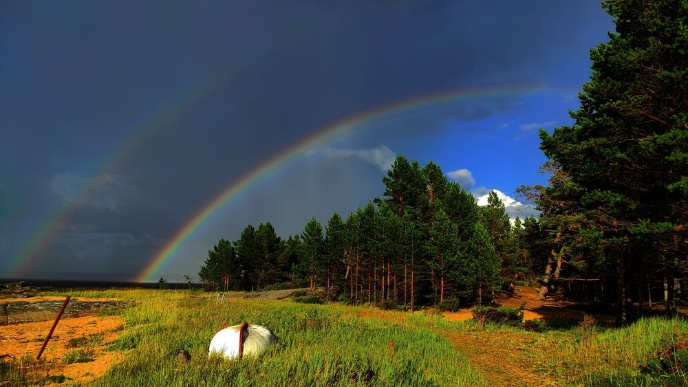 Photograph by ANDREY PERESHEIN