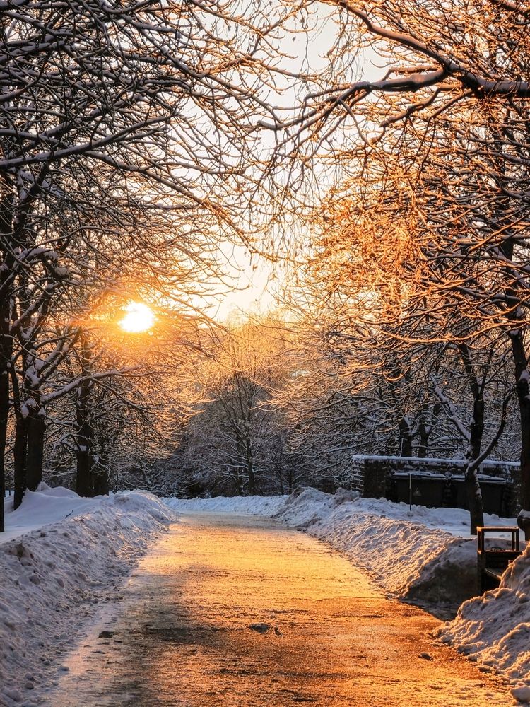 Фотография автора Татьяна Соколовская