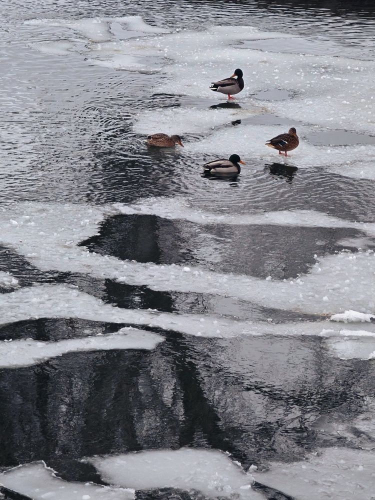 Photograph by Татьяна Соколовская