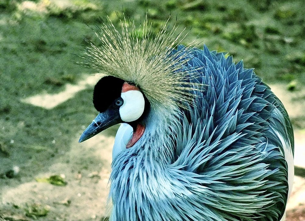 Фотография автора Татьяна Шитлина