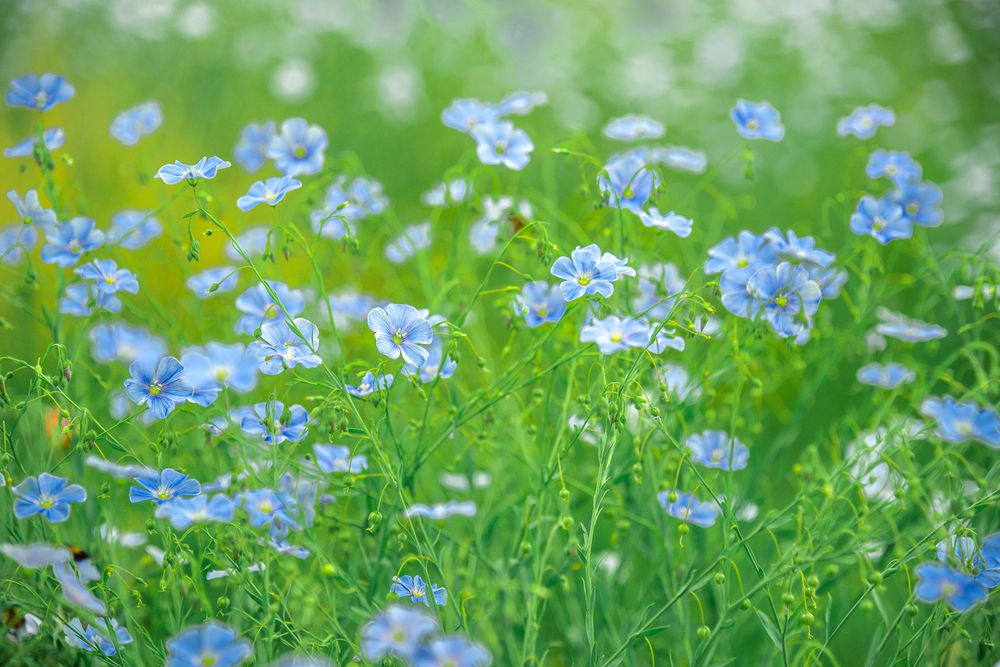 Photograph by Юрий Киреичев