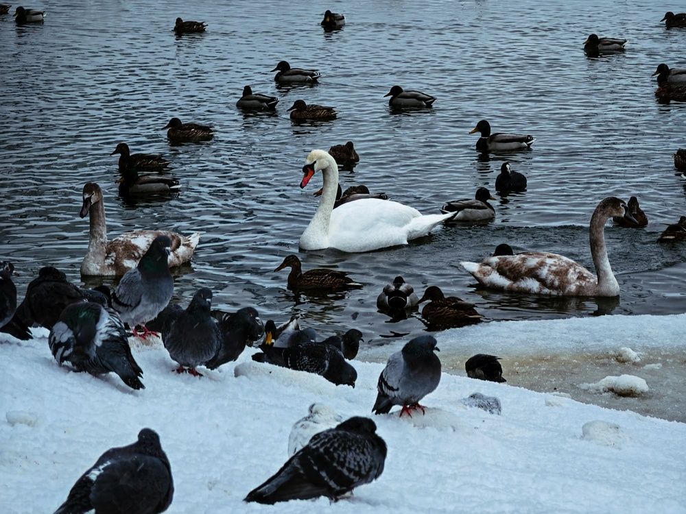 Photograph by Татьяна Соколовская