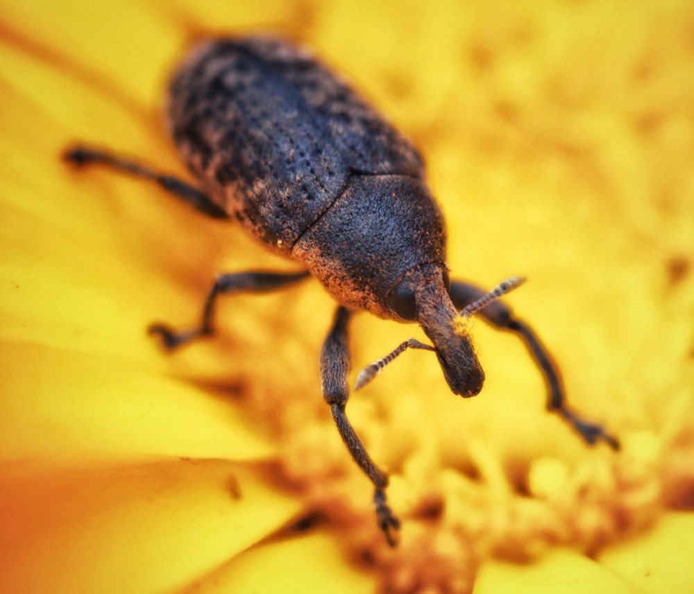 Photograph by AlexaL