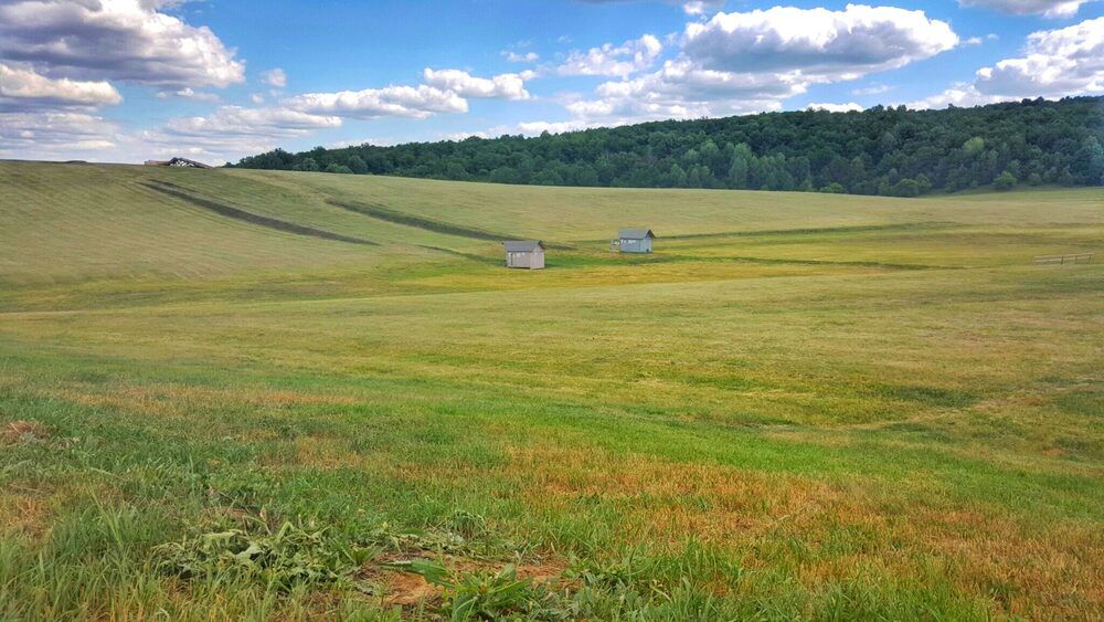 Photograph by Abdallah Khader