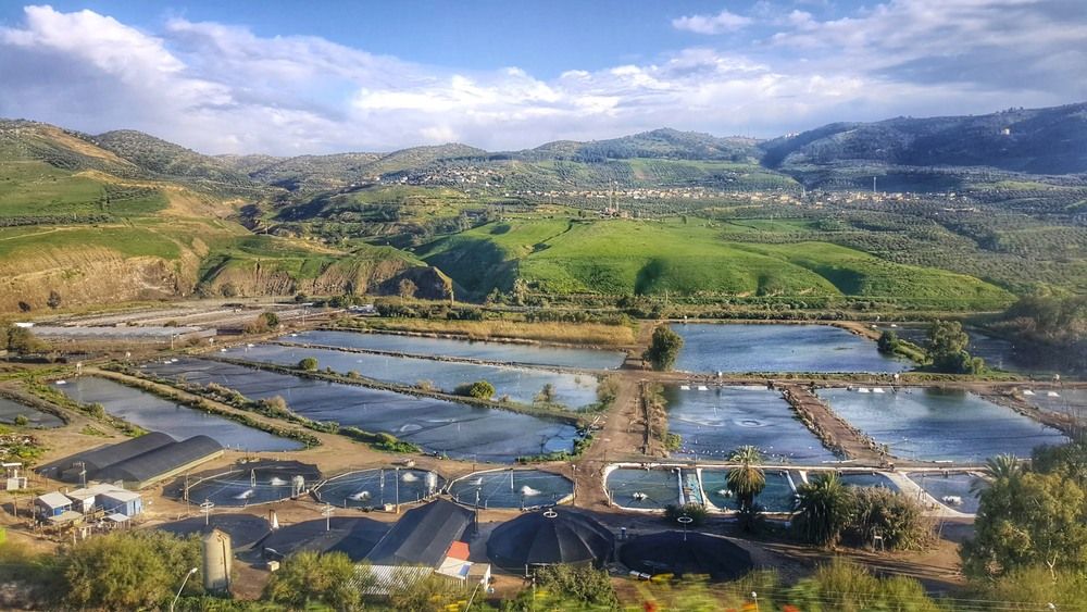 Photograph by Abdallah Khader