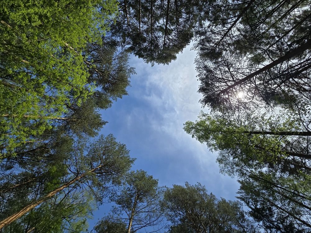 Photograph by Фадеев Данил