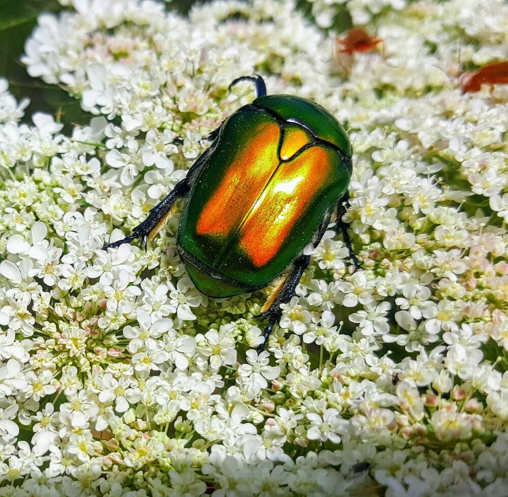 Photograph by Abdallah Khader