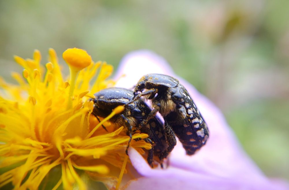 Photograph by Abdallah Khader