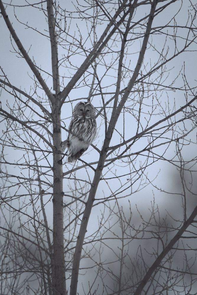 Фотография автора Yulia Orina