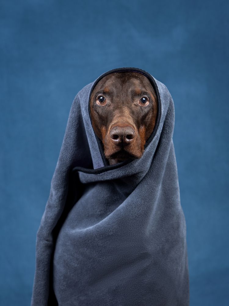 Фотография автора Мария Клещенко