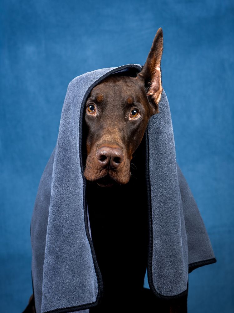 Фотография автора Мария Клещенко