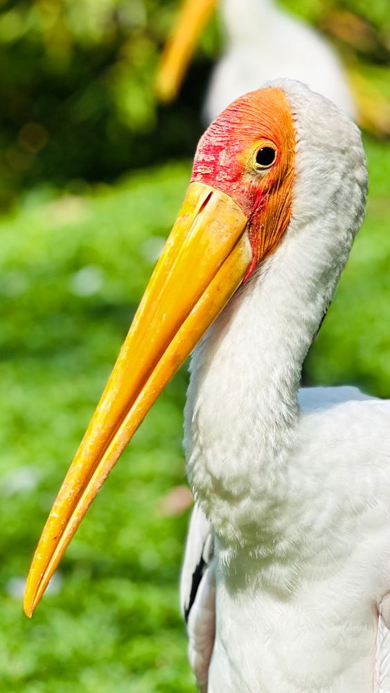 Photograph by Afsal Ansary