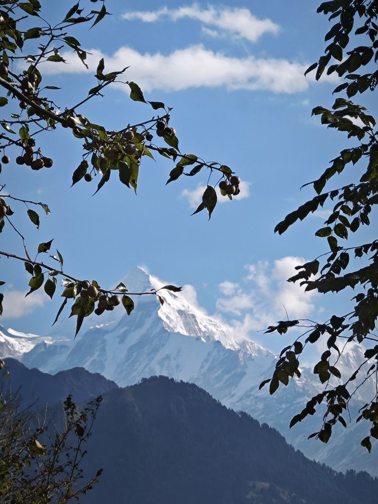 Photograph by CHHATRA NITWAL