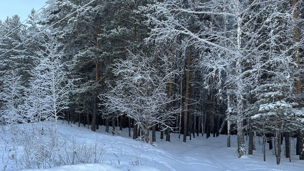 Photograph by Сергей Смирнов