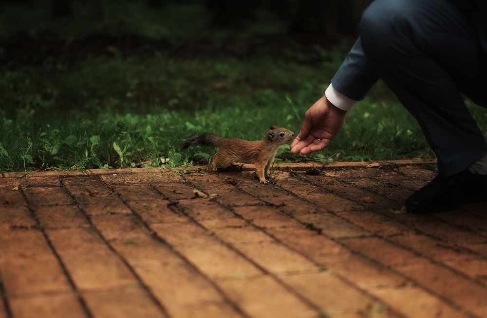 Photograph by Аряева Анна