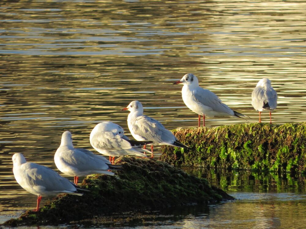 Photograph by Татьяна Стаскевич