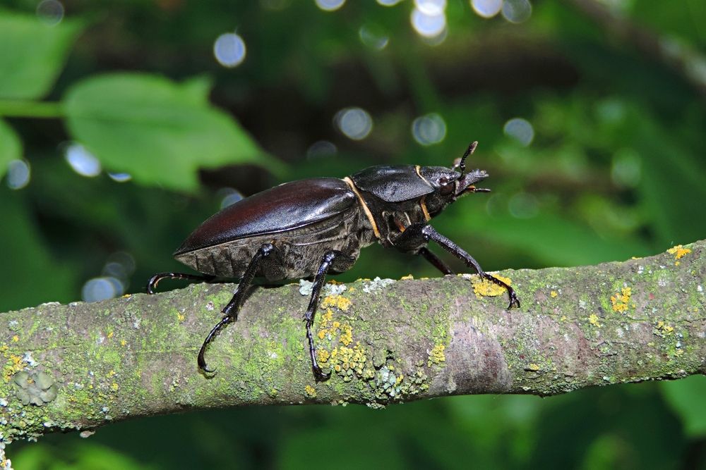 Photograph by Мария Широких