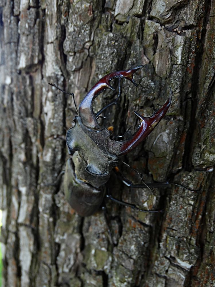 Photograph by Мария Широких