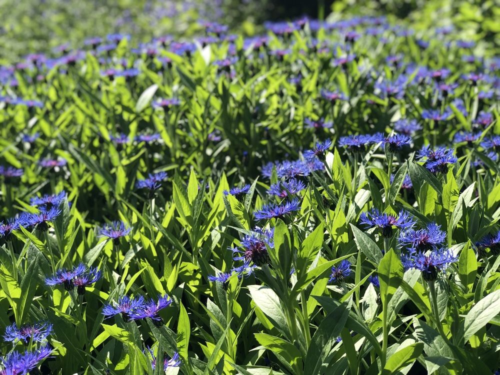 Photograph by ЮЛИЯ СУЛИМОВА