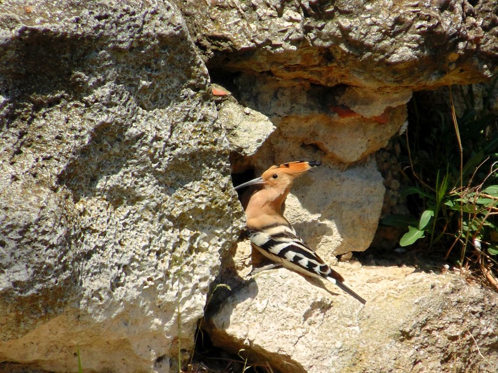 Photograph by Татьяна Стаскевич