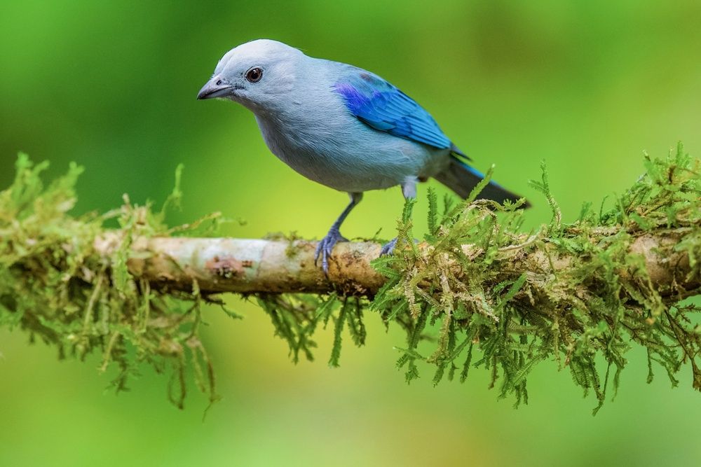 Photograph by David Manusevich