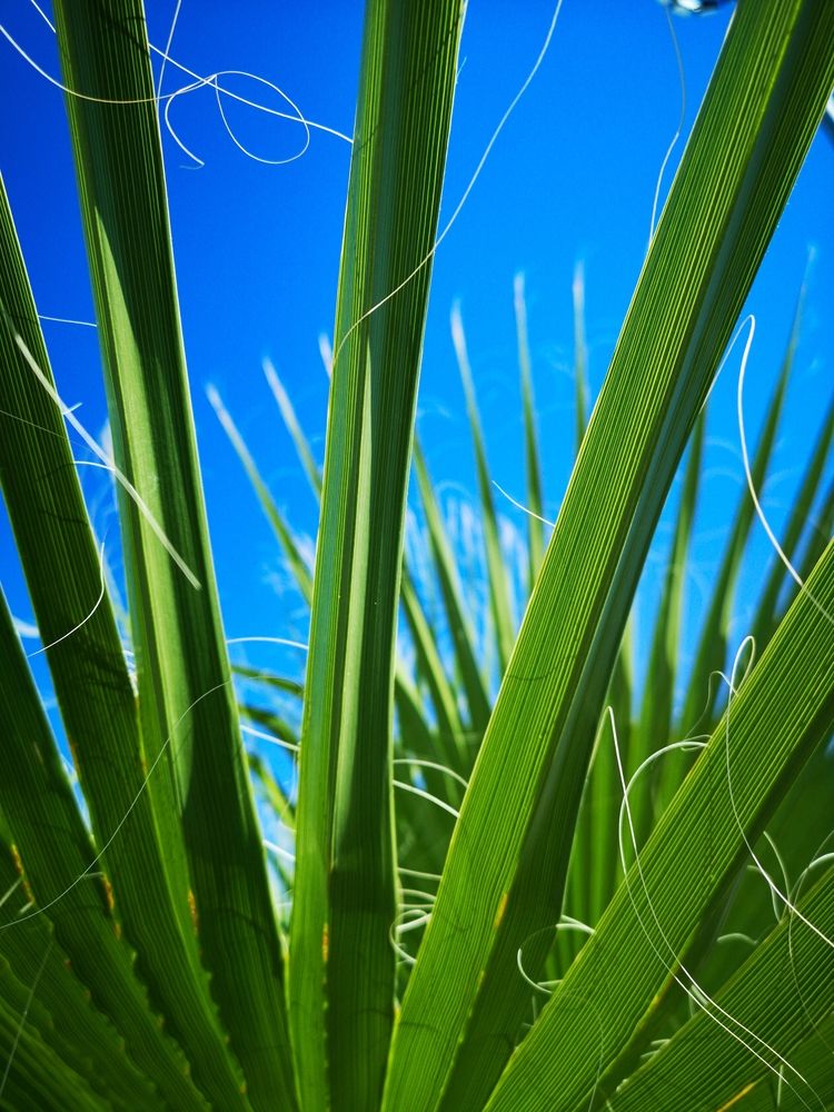 Фотография автора Сергей Варламов