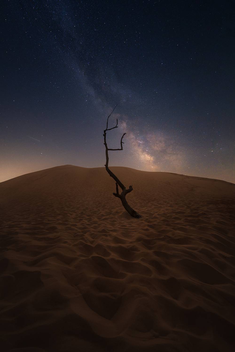 Фотография #13202866