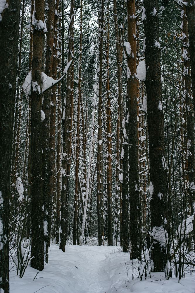 Photograph by Ксения Шилина