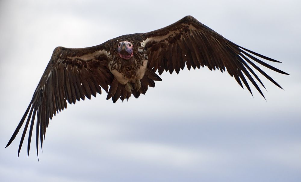 Photograph by Гиль Александр