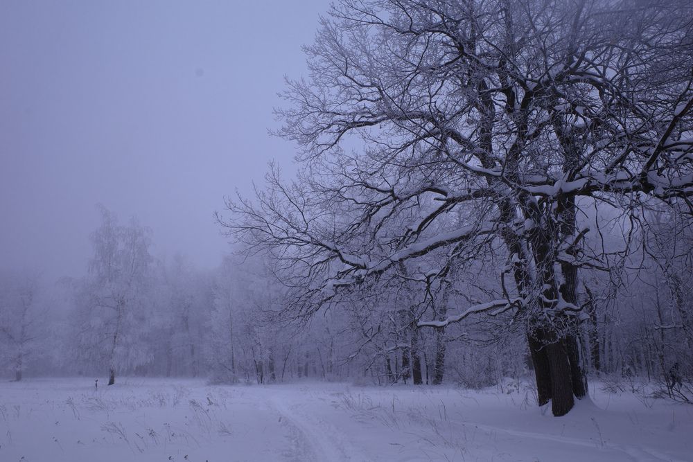 Photograph by Алла Никушкина