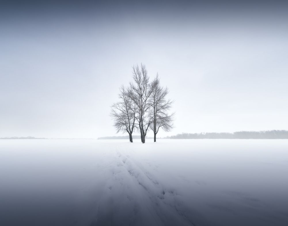 Фотография автора Sergey Shilling