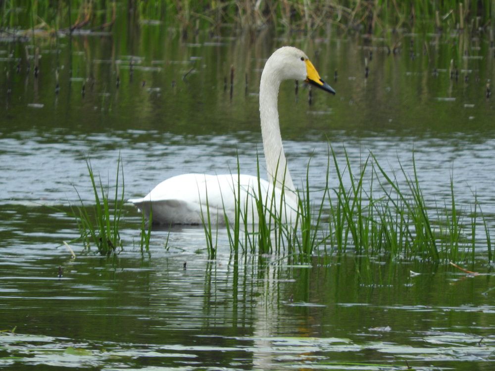 Photograph by YURY RAMITSAN