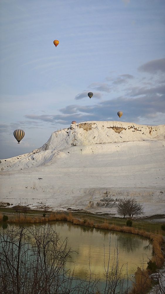 Photograph by Елена