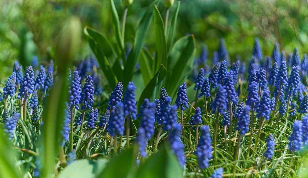 Photograph by Михаил Шевцов