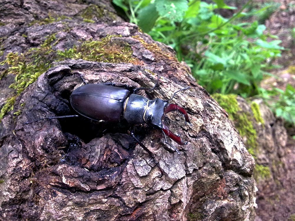 Photograph by Татьяна Стаскевич