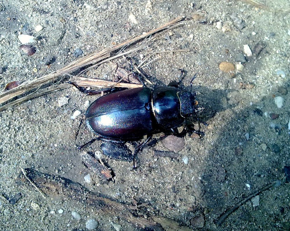 Photograph by Татьяна Стаскевич