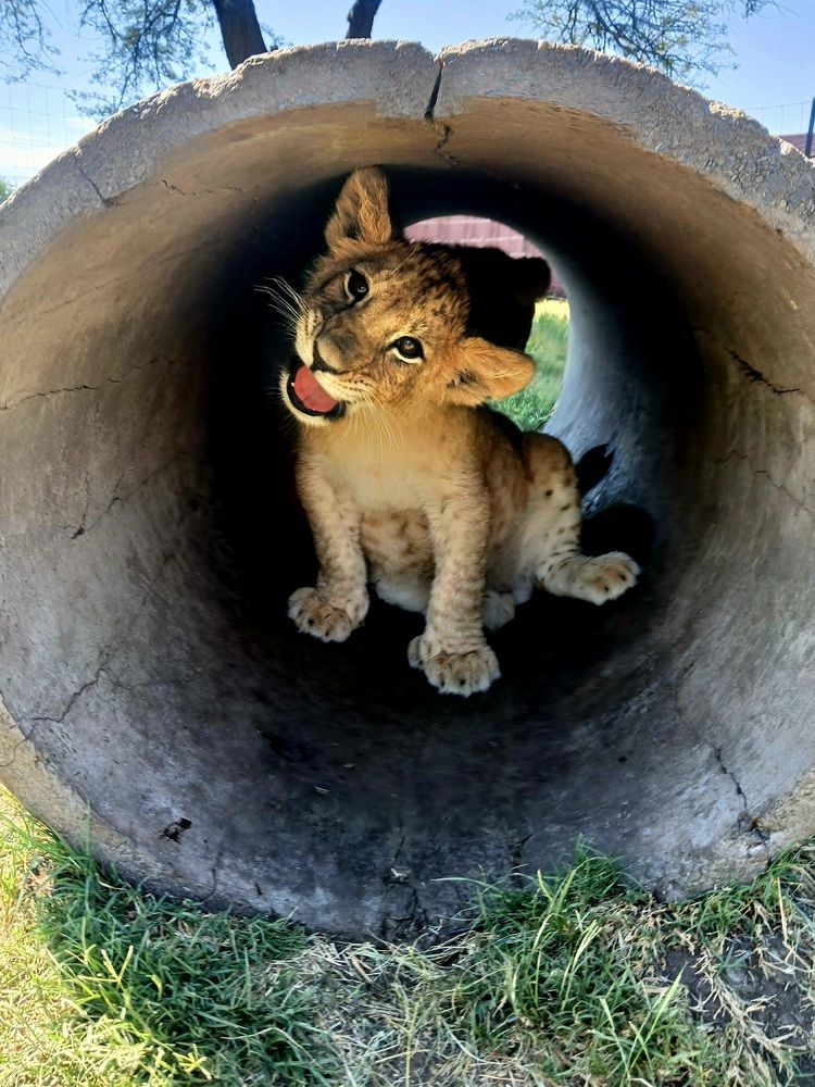 Cuteness overload