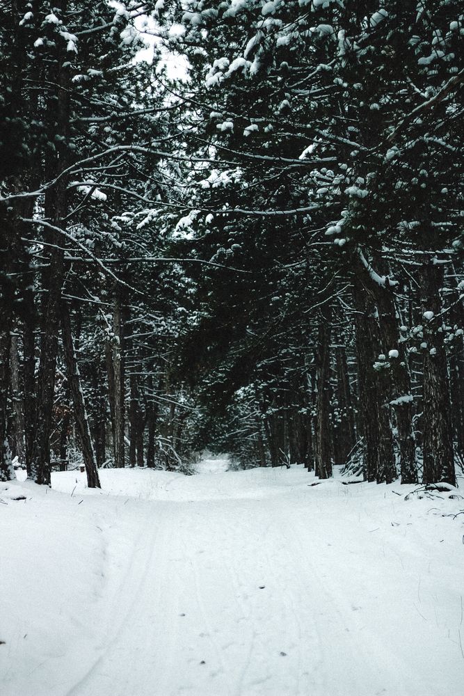 Фотография автора Наталия Столяр