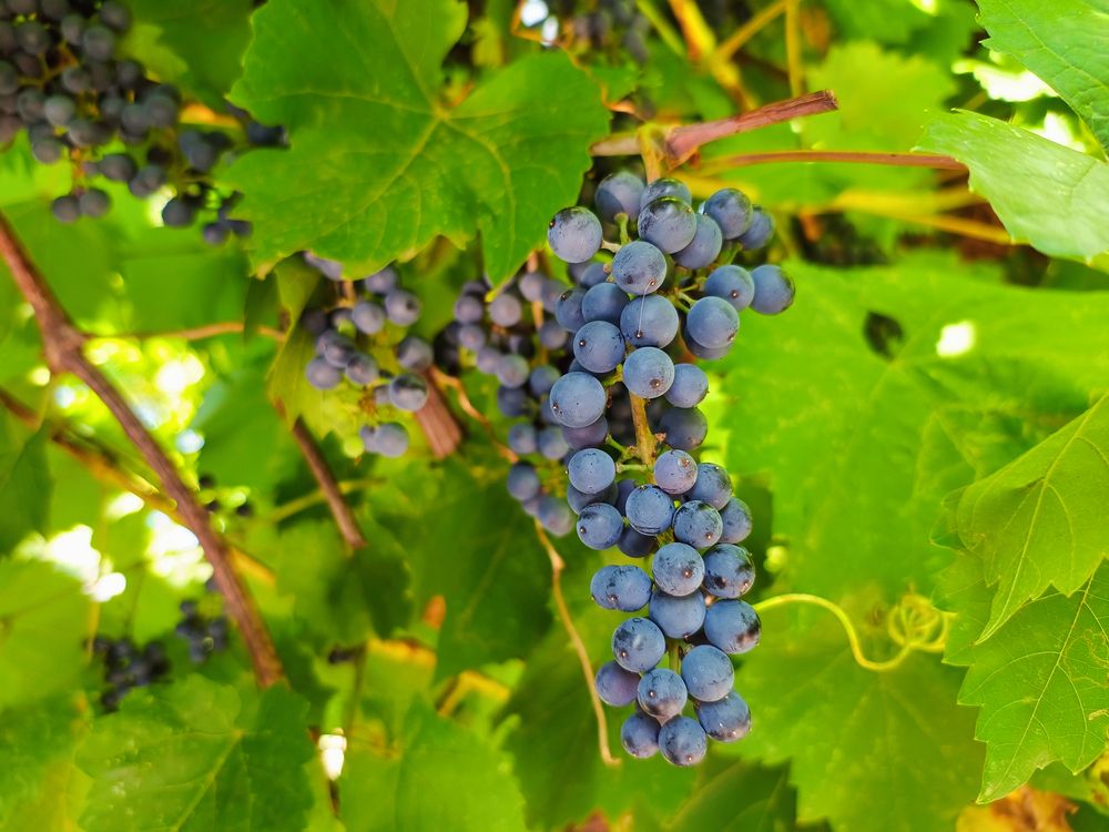 Photograph by Виталий Талисман