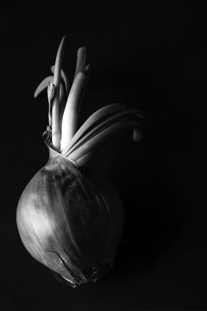 Photograph by Елена Федорова