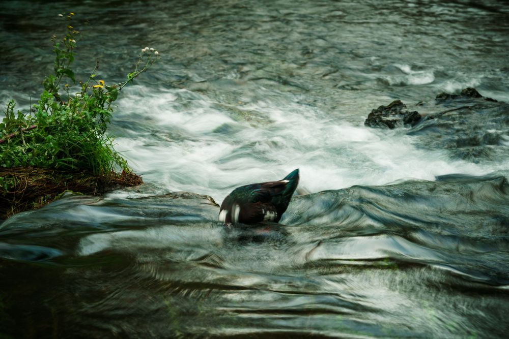 Photograph by Александр Шалагин