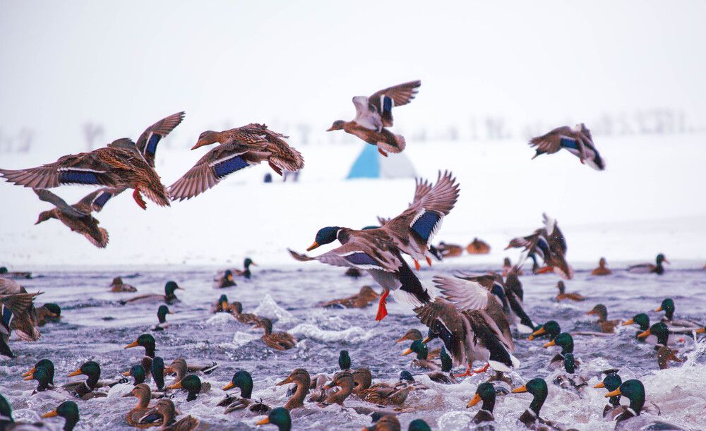 Photograph by Dmitrii Evstigneev