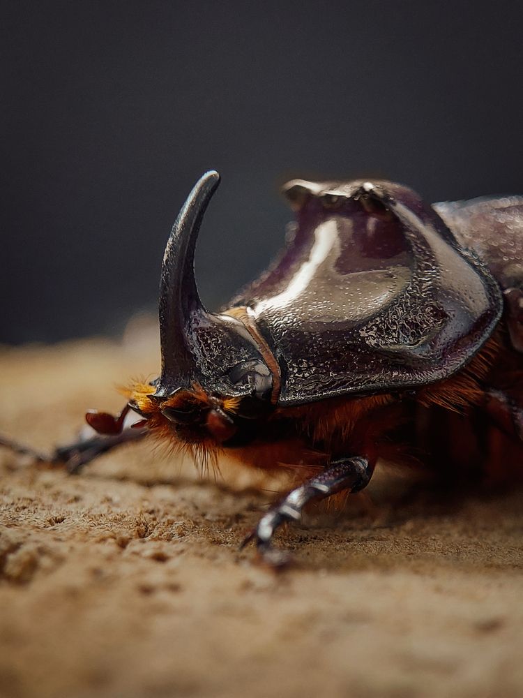 Photograph by Анна Чичилова