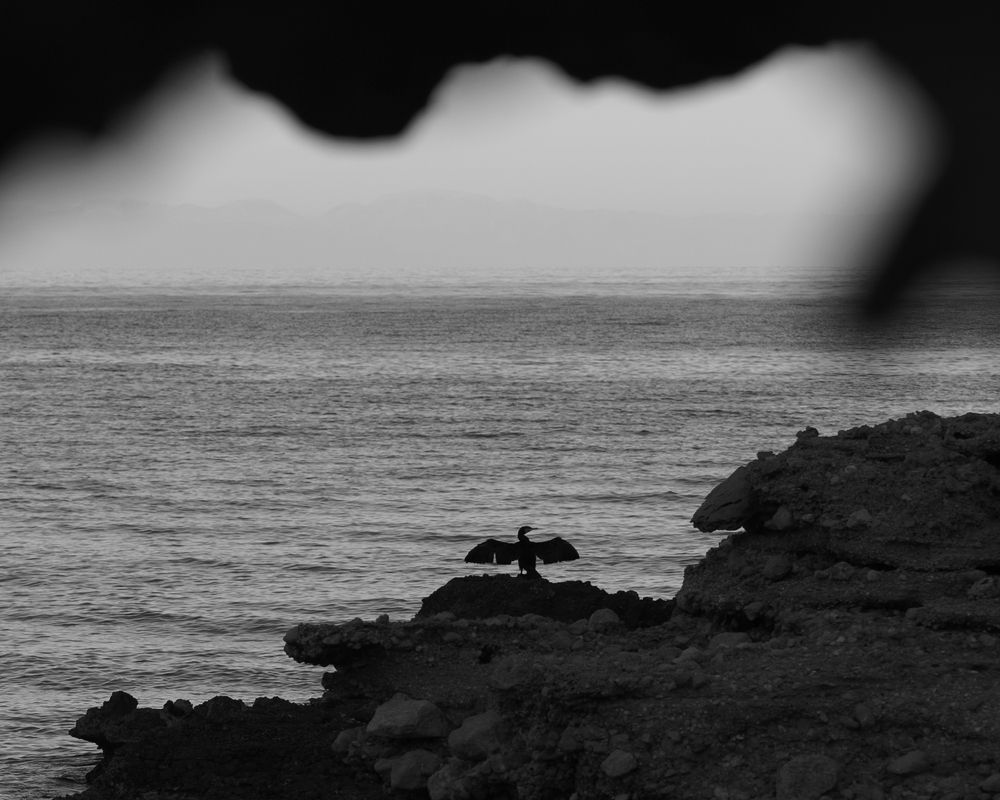 Photograph by Александр Шалагин